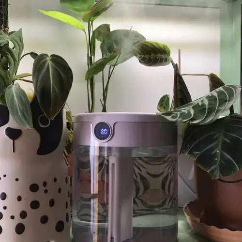 Room with potted plants and a humidifier on a table